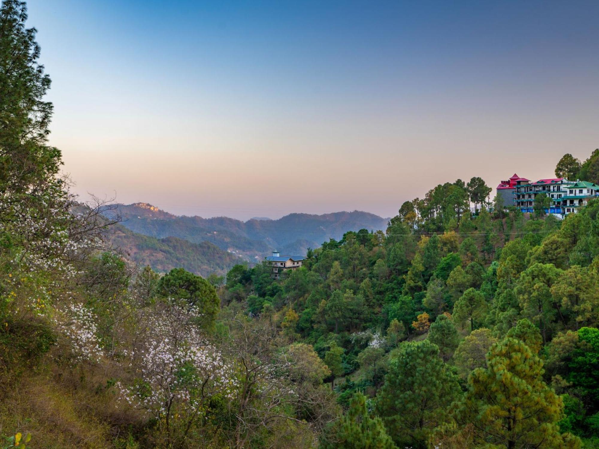 The Hosteller Kasauli Ngoại thất bức ảnh